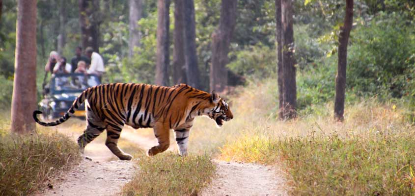 Kanha National Park