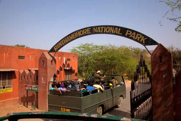 New Safari Booking System in Ranthambore